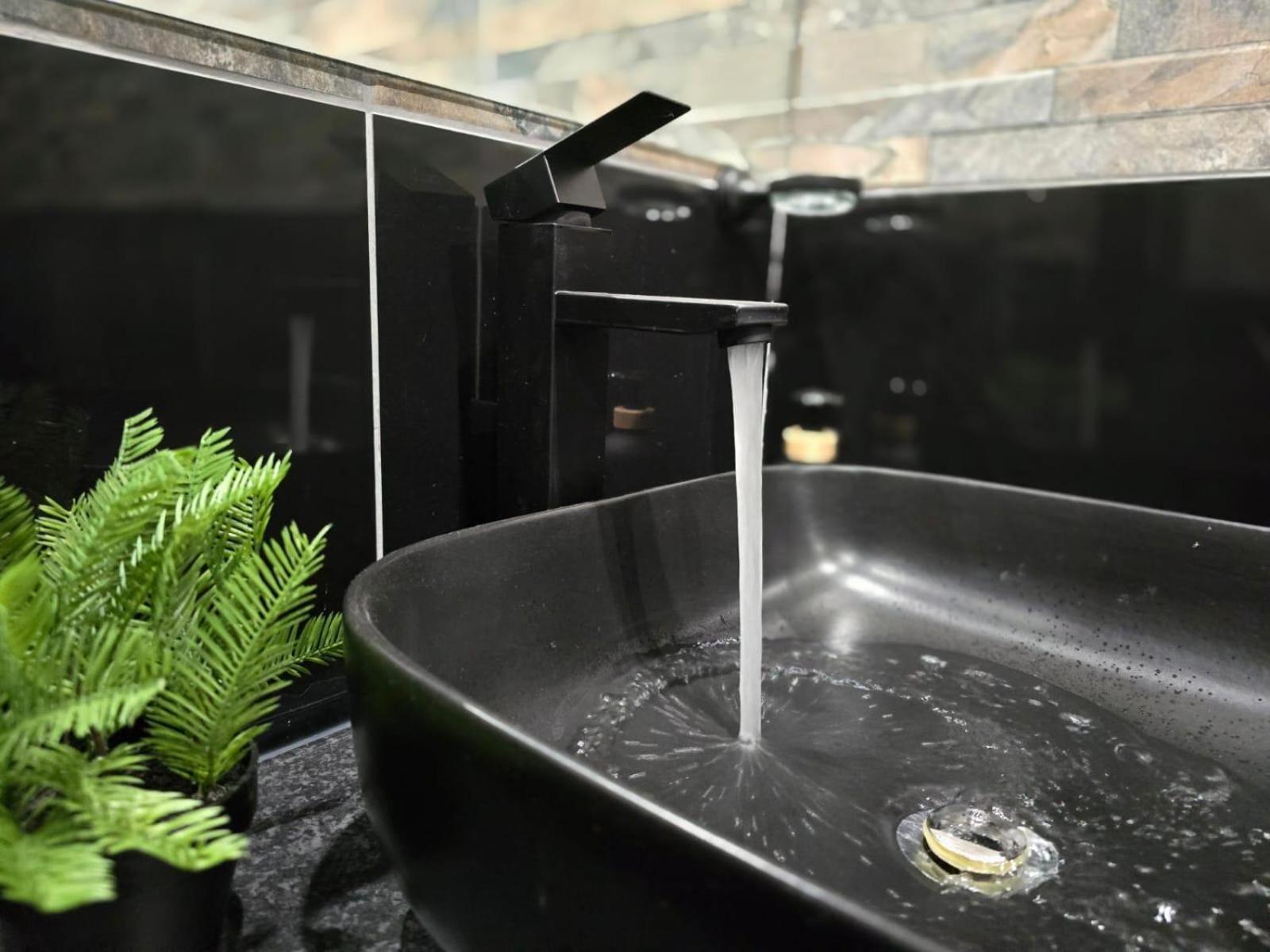 Palm Inn Guesthouse Onverwacht Ngoại thất bức ảnh